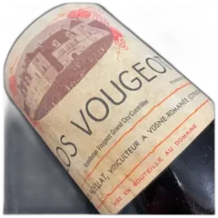 vue du vin Domaine Charles Noellat Clos Vougeot