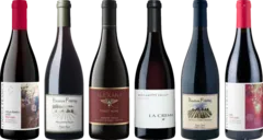 photo Pinot Noir Premium de l’Oregon