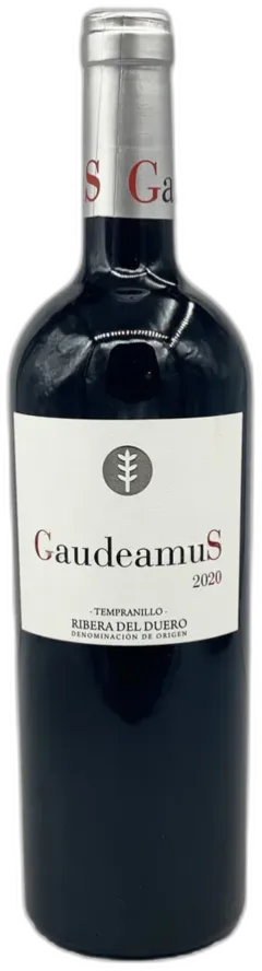 image du vin Bodega Hermanos Del Villar Gaudeamus 2021 Ribera Del Duero Vin d’Espagne