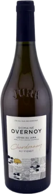 photo Chardonnay en Vignet