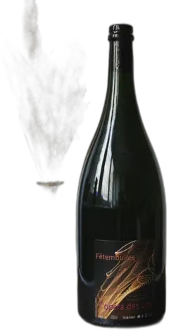 capture du vin Magnum Fetembulles Blanc 2015