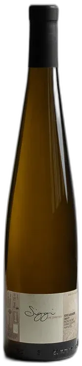 photo Sylvaner Siggi Blanc