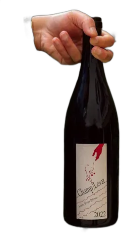 illustration du vin Mondeuse Vieilles Vignes 2024 Cuvée Gastronomie Domaine Jean Perrier & Fils