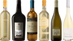 photo Dégustation Vermentino Premium