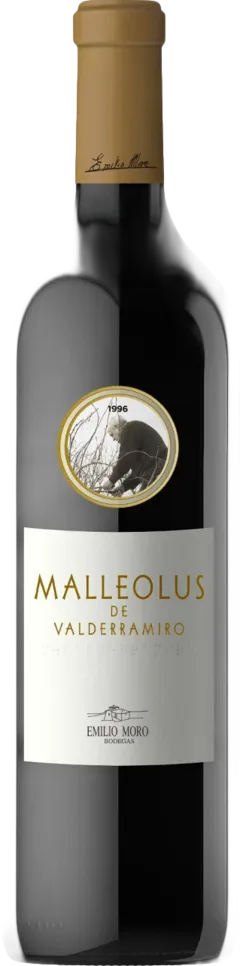 image du vin Emilio Moro Vendimia Seleccionada