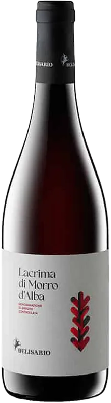 image du vin Lacrima di Morro d’Alba Belisario 2023