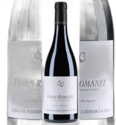 photo Vosne Romanée 2005 Sylvain Cathiard