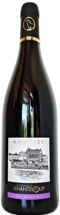 vue du vin Chinon "Tradition " 2022 Domaine de la Commanderie Philippe Pain