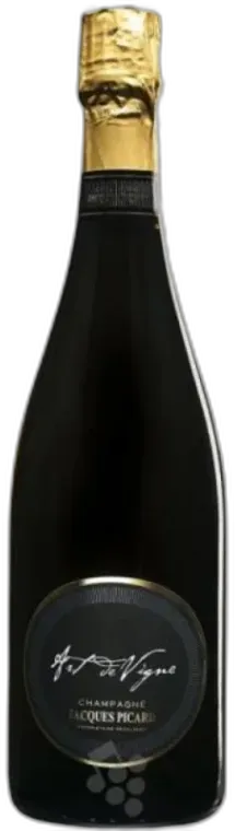 photo Champagne Art de Vigne 2008 Extra Brut