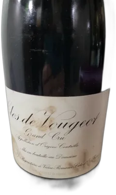 photo Clos de Vougeot