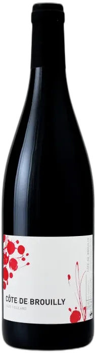 illustration du vin Côte de Brouilly 2022