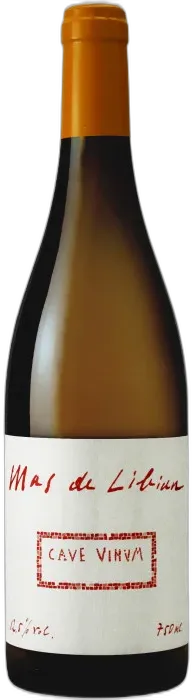 illustration du vin Cave Vinum