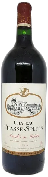 photo Château Chasse-Spleen Magnum 1995