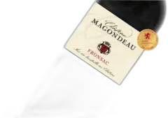 photo Château Magondeau
