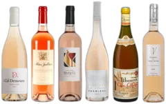 photo Découverte Rosés de Soleil
