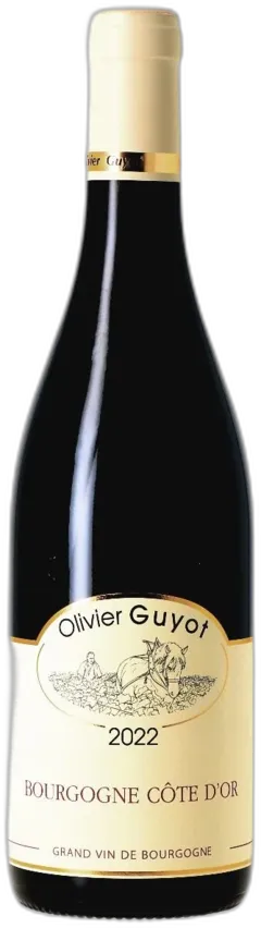 photo Pinot Noir