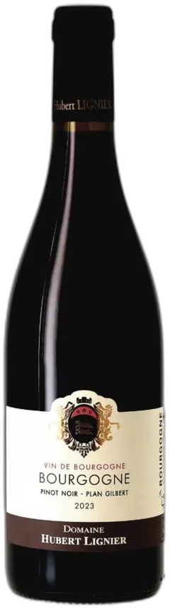 photo Pinot Noir, Plan Gilbert