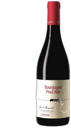 photo Pinot Noir 2022