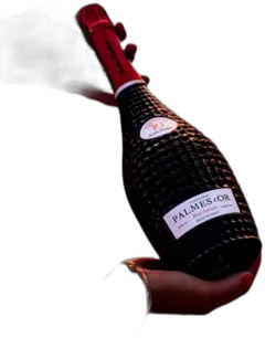 photo Palmes d’or 2008 Rosé Intense