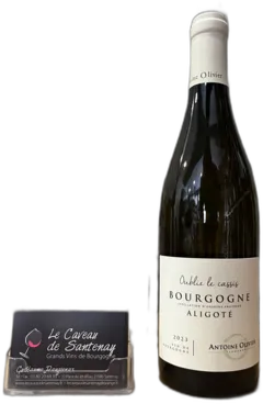 photo Bourgogne Aligoté Blanc 2023