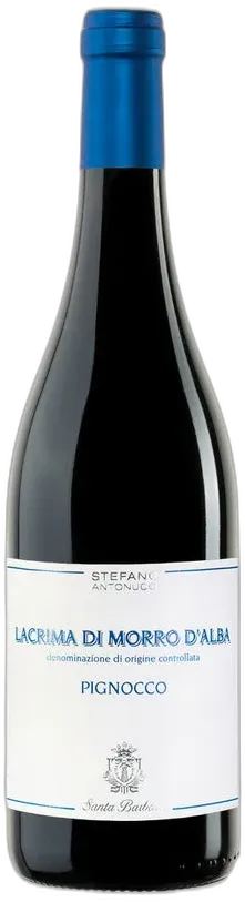 image du vin Lacrima di Morro d’Alba 'Pignocco