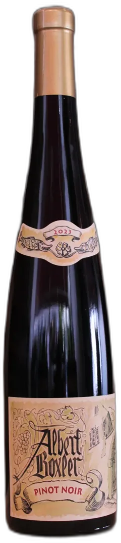 photo Alsace Pinot Noir 2023 Albert Boxler
