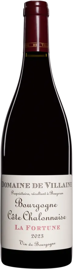 photo Domaine de Villaine Bourgogne Côte Chalonnaise 