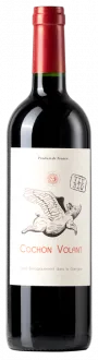 photo du vin Cochon Volant Rouge 2024 Château de Caraguilhes