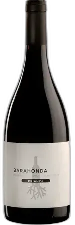 photo du vin Bodegas Barahonda Barahonda Organic 2019 Yecla Vin d’Espagne