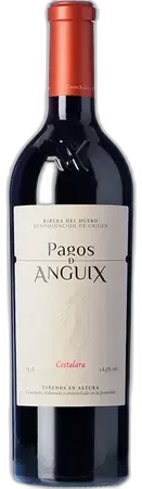 vue du vin Pagos de Anguix Costalara
