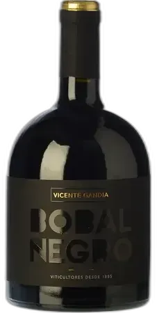 photo du vin Vicente Gandía Bobal Negro 2022