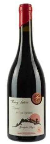 vue du vin Thierry Ledain “Terre d'Ascension”