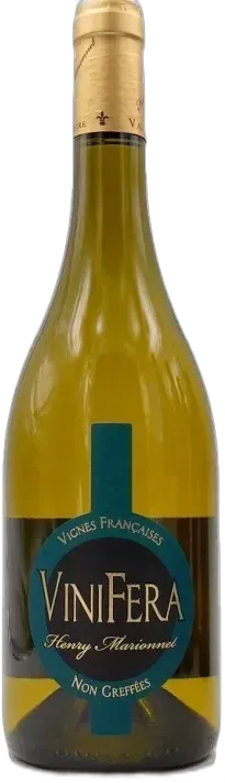photo Vinifera Chenin