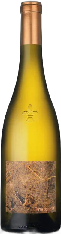 capture du vin Terre de Pierre