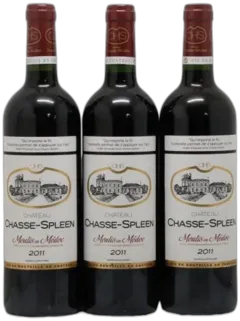 photo Château Chasse Spleen 2011