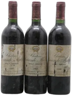 photo Château Sociando Mallet 1993