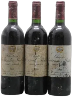 photo Château Sociando Mallet 1993
