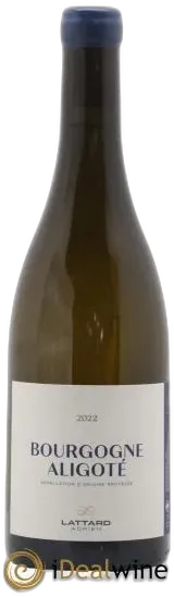 photo Bourgogne Aligoté Adrien Lattard 2022