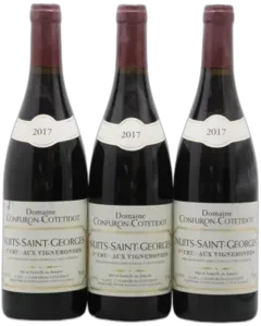 photo Nuits-Saint-Georges 1er Cru les Vignes Rondes Confuron-Cotetidot