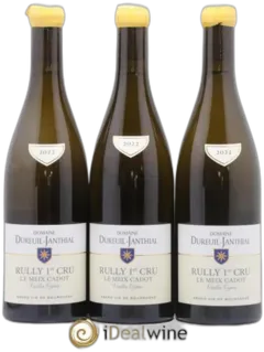 photo Rully 1er Cru le Meix Cadot Vieilles Vignes Vincent Dureuil-Janthial