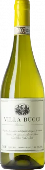 aperçu du vin Villa Bucci Verdicchio Castelli di Jesi Riserva