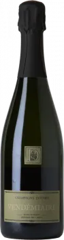 vue du vin Doyard Vendémiaire Premier Cru Brut Magnum