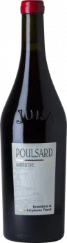 image du vin Tissot Arbois Poulsard en Amphore 2023 Magnum