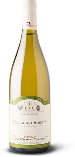 photo Bourgogne Aligoté