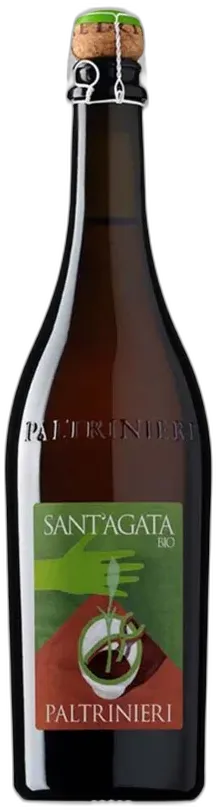 vue du vin Lambrusco di Sorbara 'Sant'Agata' Paltrinieri 2024