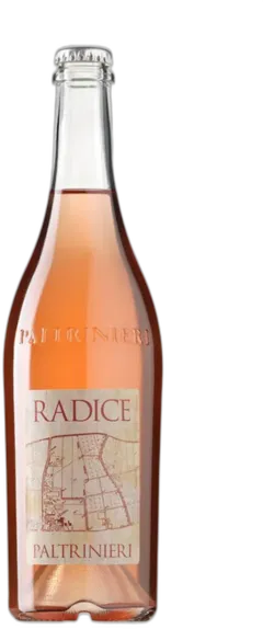 photo du vin Lambrusco di Sorbara 'Radice' Paltrinieri 2024