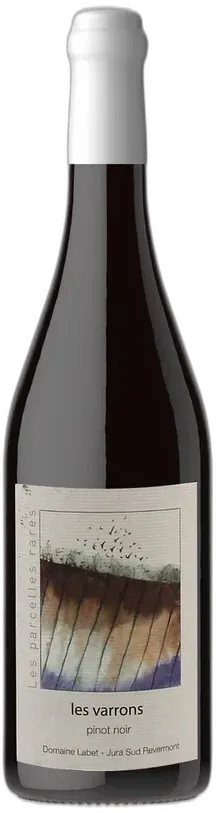 photo Pinot Noir 'Selection Massale