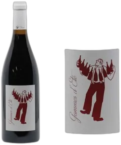 vue du vin Vin de France Gamay "Gammes d'Eté"