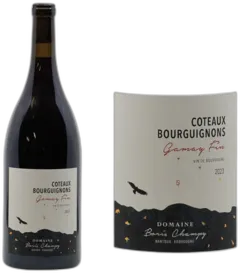 photo Côteaux Bourguignons Gamay