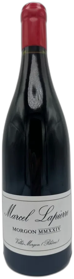 vue du vin Domaine Mathieu & Camille Lapierre Morgon Cuvee Marcel Lapierre Beaujolais France